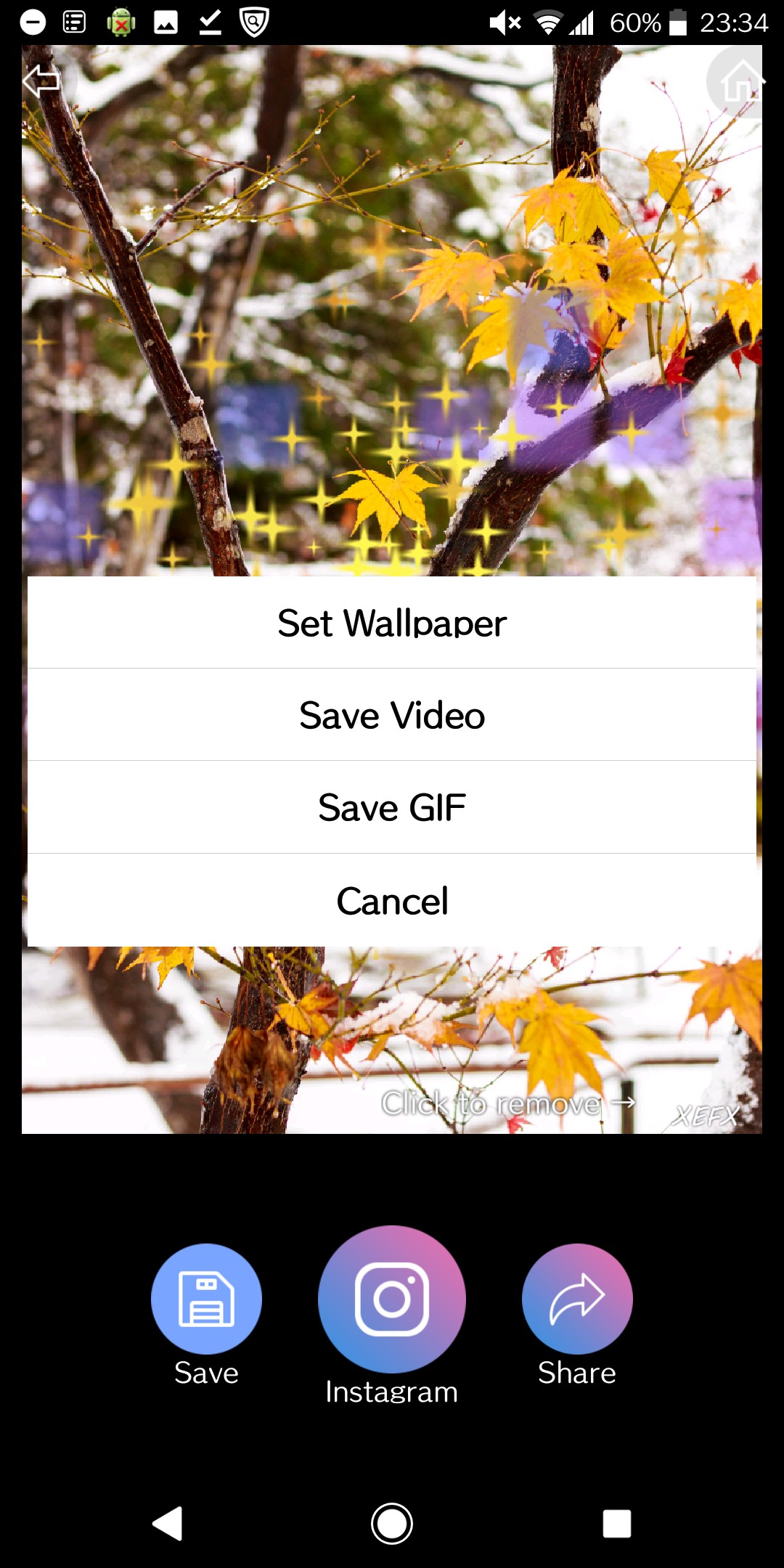 make gif live wallpaper android