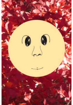 撮って福笑い Iphone Android対応のスマホアプリ探すなら Apps