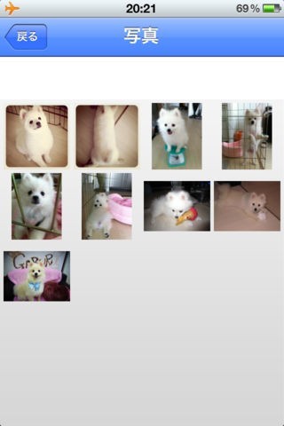 妄想ペット | スクリーンショットその2