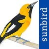 All Birds Ecuador field guide アイコン