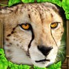 Cheetah Simulator アイコン