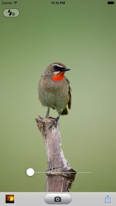 超微音カ Pro | スクリーンショットその2