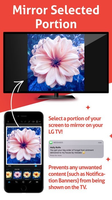 mirror for lg tv dual monitor