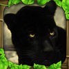 Panther Simulator アイコン
