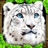 Snow Leopard Simulator アイコン