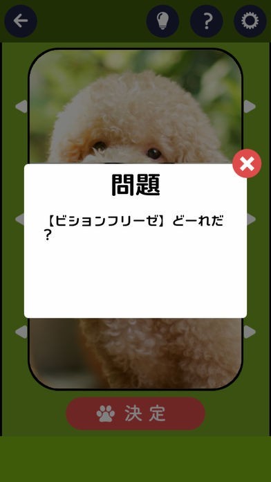 そろえて わんわんクイズ Iphone Androidスマホアプリ ドットアップス Apps