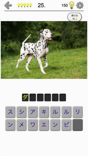 犬 写真付きクイズ 犬の品種一覧 おすすめ 無料スマホゲームアプリ Ios Androidアプリ探しはドットアップス Apps