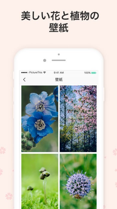 Picturethis 植物の図鑑 判定 認識 識別 検索 Iphone Androidスマホアプリ ドットアップス Apps