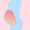 Drug Pregnancy and Lactation アイコン