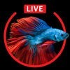 Aquarium Live HD Wallpapers for Lock Screen アイコン