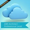 Professional - AWS Sol. Arch. アイコン