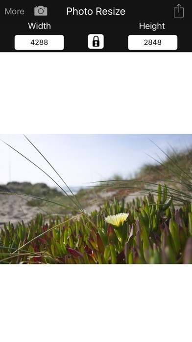 Photo Resize | スクリーンショット