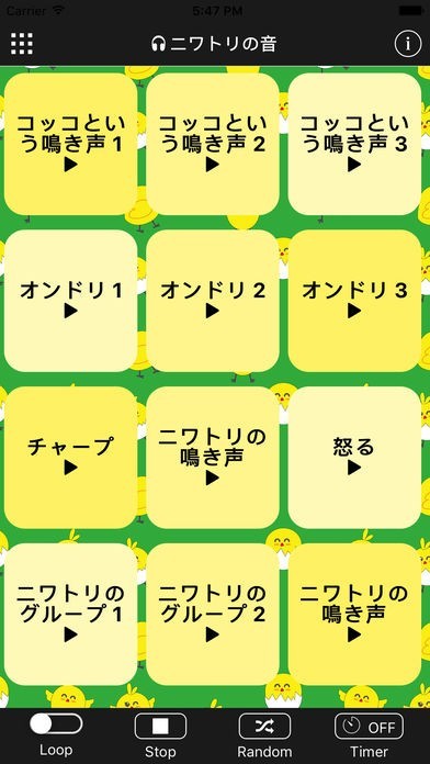 ニワトリの音 | スクリーンショットその1