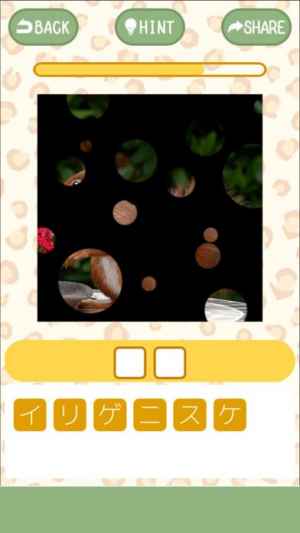 虫食いアニマルクイズ Iphone Android対応のスマホアプリ探すなら Apps 虫食いアニマルクイズ Iphone Android対応のスマホアプリ探すなら Apps