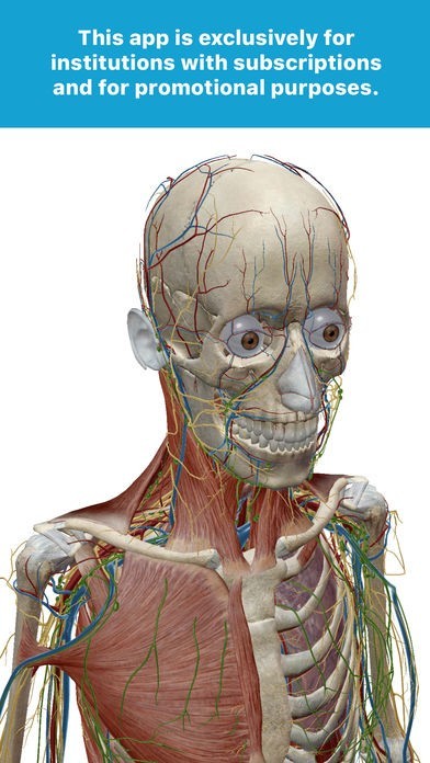 2018 Atlas Perpetual | スクリーンショットその1