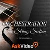 Orchestration String Section アイコン