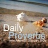 Daily Proverbs - NASB Bible アイコン