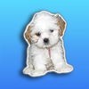 Pupoji - シンプルかわいい顔文字アプリ - LINE - emojiアート - Emojis アイコン