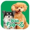 Wanちゅーるメーカー アイコン